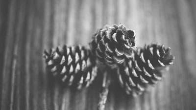 Dune: Parte Dos es la epopeya visual que el cine necesitaba